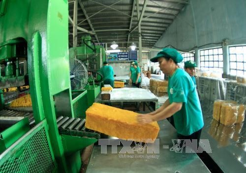 Giá cao su xuất khẩu giảm cùng chiều với giá cao su thế giới